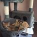 Mike Pettingill - Facebook