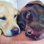 Michel Petzl - @michaelpetz - Instagram