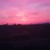 michaelpezzaga160 - @michaelpezzaga160 - TikTok