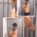 Michael Pezo - Facebook