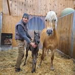 Michael Pfeffer - Facebook