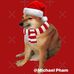 Michael Pham - Facebook