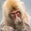 Michael Pham - @michaelpham178 - TikTok