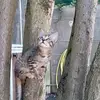 Michel Pichon - @michel.pichon - TikTok