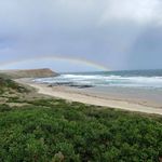 Michael Picone - @michael.picone.359 - Instagram