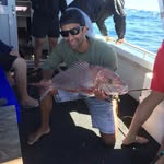 Mike Picton - @michael_picton - Instagram