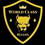 Michael PiJuan - @_world_class_bullys - Instagram