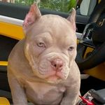 Michael PiJuan - @michaelpijuan - Instagram