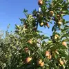 Michel Pinard839 - @michelpinard2 - TikTok