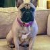 Michael Pinchbeck - Facebook