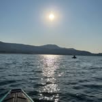 Michael Pincus - @mediumheavymike - Instagram