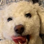 Michael Pinelli - @michael_pinelli4 - Instagram