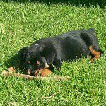 michael pinna - @pinnamiky2001 - Instagram