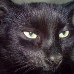 Michael Pinnow - @micha852017 - Instagram