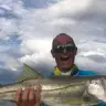michael pintar - @michaelpintar5 - TikTok