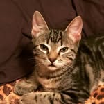 Michael Plaisance - @zacharymiller2004 - Instagram