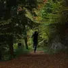 Michael Plaisted - @michaelplaisted4 - TikTok