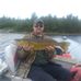 Mike Plaskitt - Facebook