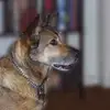 michaelplum258 - @michaelplum258 - TikTok