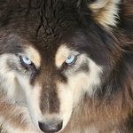 Michael Podjaski - @podjaski1981 - Instagram