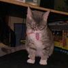 Michael Podjaski - @michaelpodjaski - TikTok