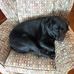 Michael Podlaski - Facebook