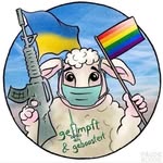 Michael Pohlert - @michaelpohlert - Instagram