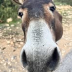 Michał Polański - Facebook
