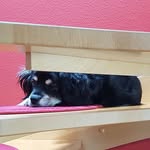 Michael Pöllmann - @michael.pollmann73 - Instagram