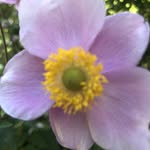 Michael Pöllmann - @michael_poellmann - Instagram