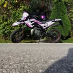 Michael Pöllmann - @mitch.poellmann - Instagram