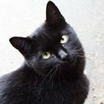 Michael Poma Falco - @pomafalco - Instagram