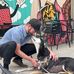 Michael Pomerantz - Facebook