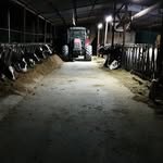 Michael Mikipmp Pomponio - @pomponio.farm_holstein - Instagram