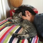 Michael Poon - @michaelpoonxd - Instagram