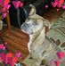 Mike Popson - Facebook