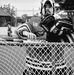 Michael Pothier - Facebook