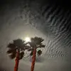 Michael Power - @mike_p77 - TikTok