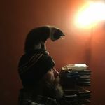 Michael Prather - @michael.prather.718 - Instagram