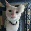 Michael Prentice - @michael.prentice - TikTok