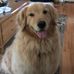 Mike Presutti - Facebook