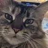 michaelapretzsch - @michaelapretzsch - TikTok