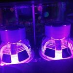 michael propes - @twistedshxt - Instagram