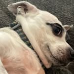 Michael Pullen - @pull.dawg - Instagram