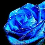 Michael Pursell - Facebook