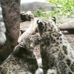 Michael Quarles - @michaelquarles4 - Instagram