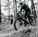 Michael Jan Quayle - Facebook