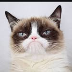 Michael Quayle - @quayle_michael - Instagram