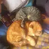 Michael Quayle - @michael.quayle5 - TikTok