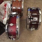 Michael Quercia - @mikeyq123 - Instagram